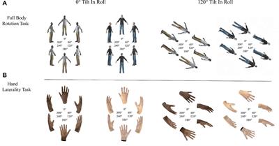 Putting Yourself in the Skin of In- or Out-Group Members: No Effect of Implicit Biases on Egocentric Mental Transformation